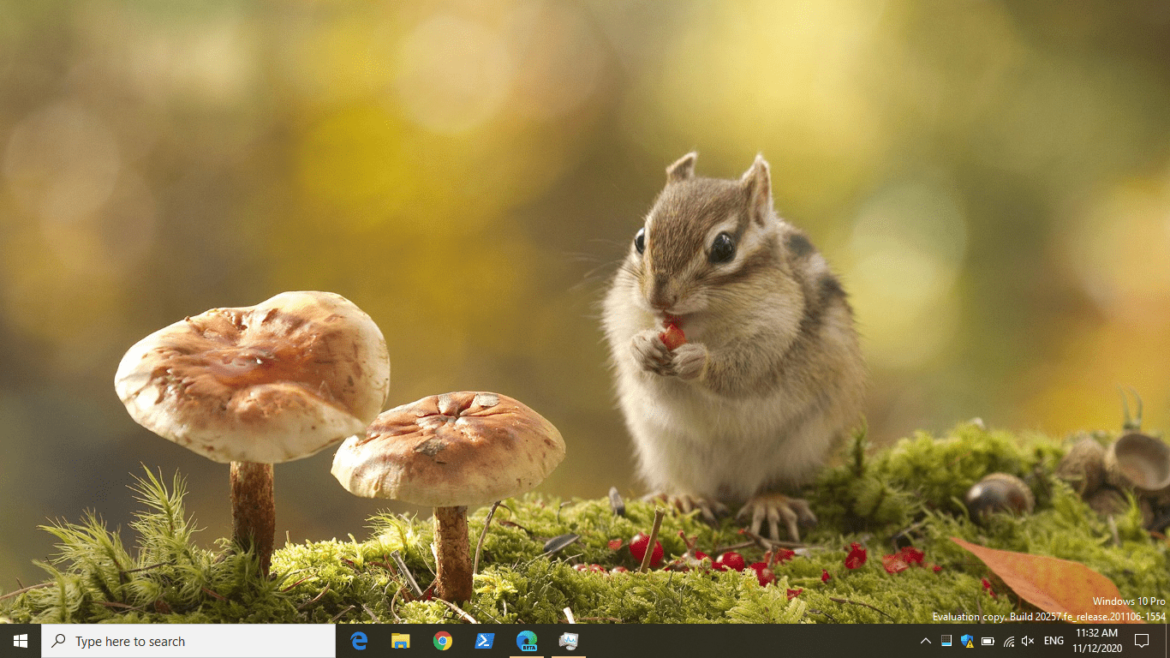 Windows 10 Insider Preview Build 20257 Released