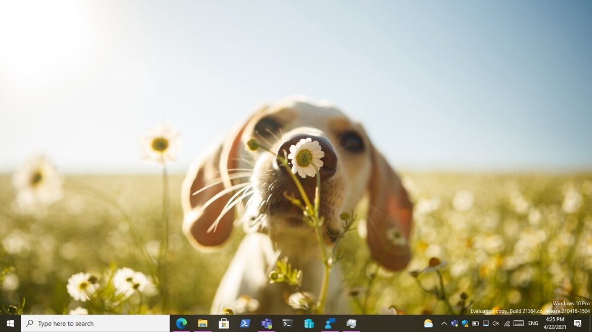 Given a try with Windows 10 Insider Preview Build 21364