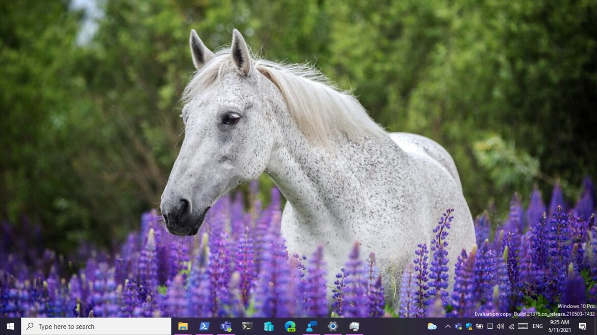 Given a try with Windows 10 Insider Preview Build 21376