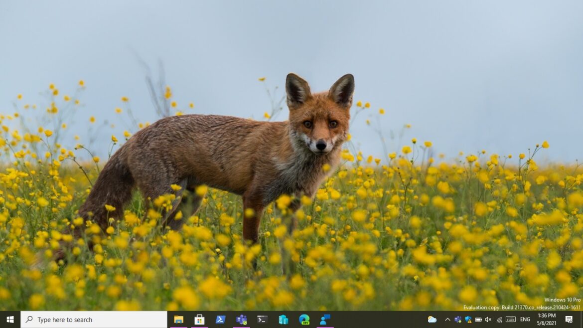 Given a try with Windows Insider Preview Build 21370