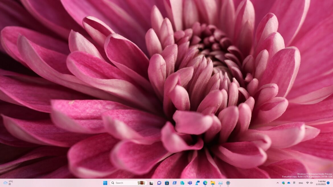 Given a try with Windows 11 Insider Preview Build 25276